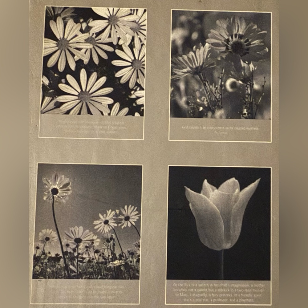 Tranquil Thoughts on Motherhood Note Card Set | Floral Stationery Gift 20 Cards - Picture 4 of 4